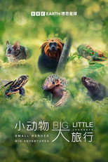 大大小小的旅行