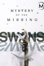 Swans: Mystery of the Missing (2016)