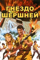 Гнездо шершней