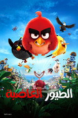 The Angry Birds Movie | الطيور الغاضبة
