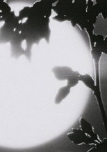 Flower in the Space poster
