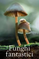 Poster di Funghi fantastici
