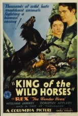 Poster for King of the Wild Horses 