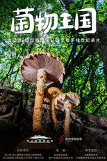 菌物王国 poster