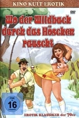 Poster for Wo der Wildbach durch das Höschen rauscht - Witwen-Report