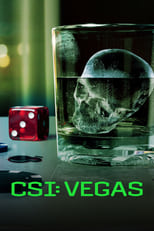 Poster for CSI: Vegas Season 3