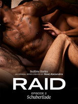 Bedtime Stories: RAID 2 - Schubertiade