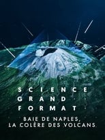 Poster for Baie de Naples, la colère des volcans 