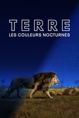 Terre : les couleurs nocturnes VOST