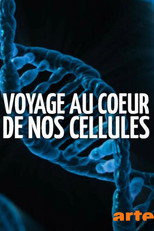 Voyage au c&oelig;ur de nos cellules&nbsp;&ndash; Nom de code&nbsp;: Prot&eacute;ome
