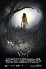 Poster for Stray
