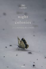 Poster for Night Colonies