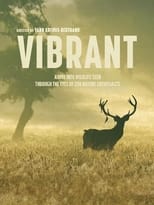 Poster for Vibrant 