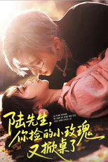 陆先生你捡的小玫瑰又掀桌了