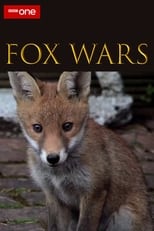 Poster for Fox Wars