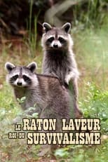 Poster for The Raccoon; The King of Survivalism