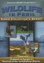 Wildlife in Peril poster