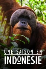 Poster di Une saison en Indonésie