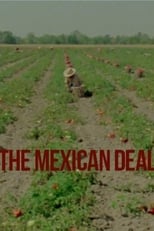 Poster for Le Deal mexicain