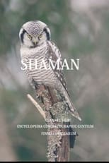 Poster for The Shaman 