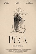 Púca