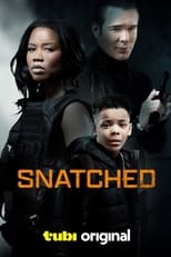 Poster for Snatched 