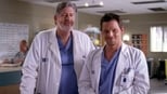 Grey’s Anatomy: 4 Temporada, Deixe a Verdade Doer