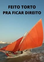 Poster for Feito Torto pra Ficar Direito 