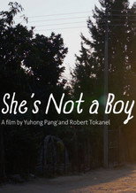 She's Not a Boy poster