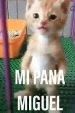 Mi Pana Miguel: La Película main poster