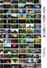 Passing through the Shrine's Gate poster