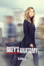 Poster for Grey's Anatomy Season 16