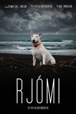 Rjómi