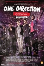 Poster for One Direction: Where We Are - The Concert Film 