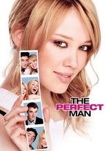 Poster for The Perfect Man