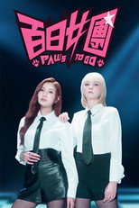 百日女團 poster