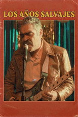 The Wild Years poster