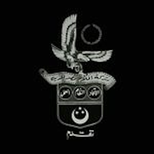 أفلام مصر الجديدة