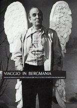 Viaggio in Bergmania (2011)