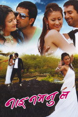 Nai Nabhannu La (2010)