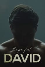 Poster for The Perfect David