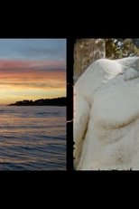 The Light That Covers the Wounds The Light That Covers the Wounds