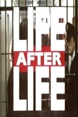 Poster for Life After Life 