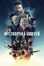 Mistrovská úroveň