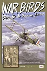 Poster for War Birds: Diary of an Unknown Aviator