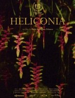 Heliconia (2020)