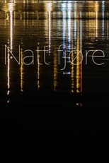 Poster for Natt fjøre