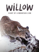 Willow: Diary of a Mountain Lion poster