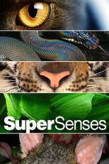 Supersenses