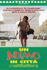 Poster di Un indiano in città